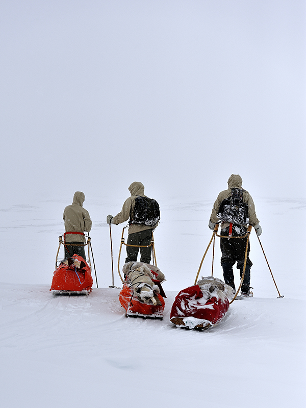 Två Rimforspulkor och en Segebadenpulka på iglooexpedition genom Marsfjällen 2014. Foto: Erik Westberg/Epix Photo